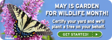 May is Garden for Wildlife Month